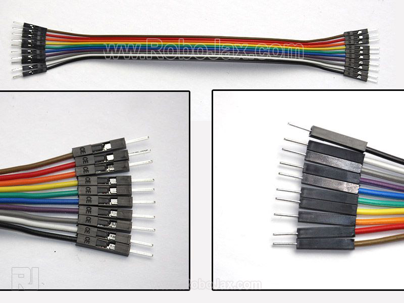 20cm male-to-male 10-pin Dupont cable