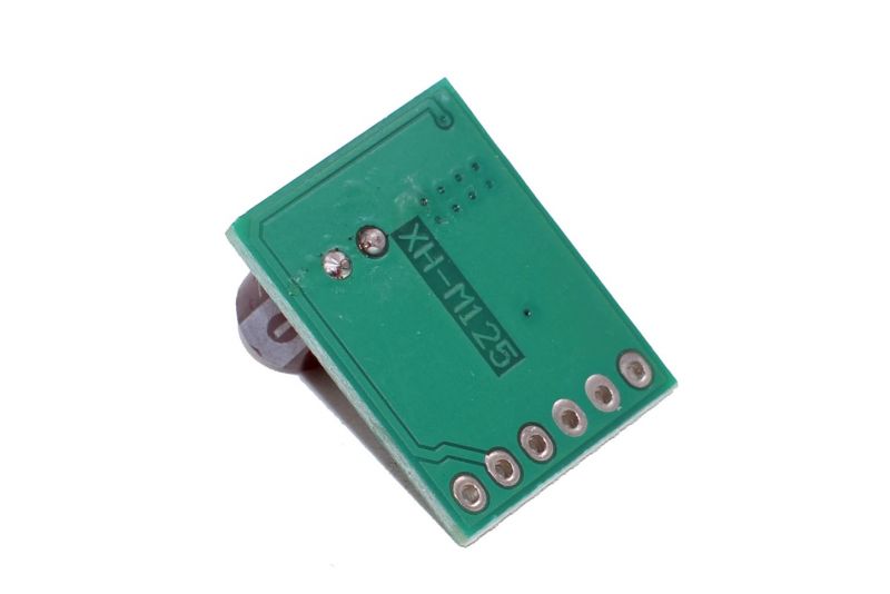 XPT8871 Audio Amplifier Module