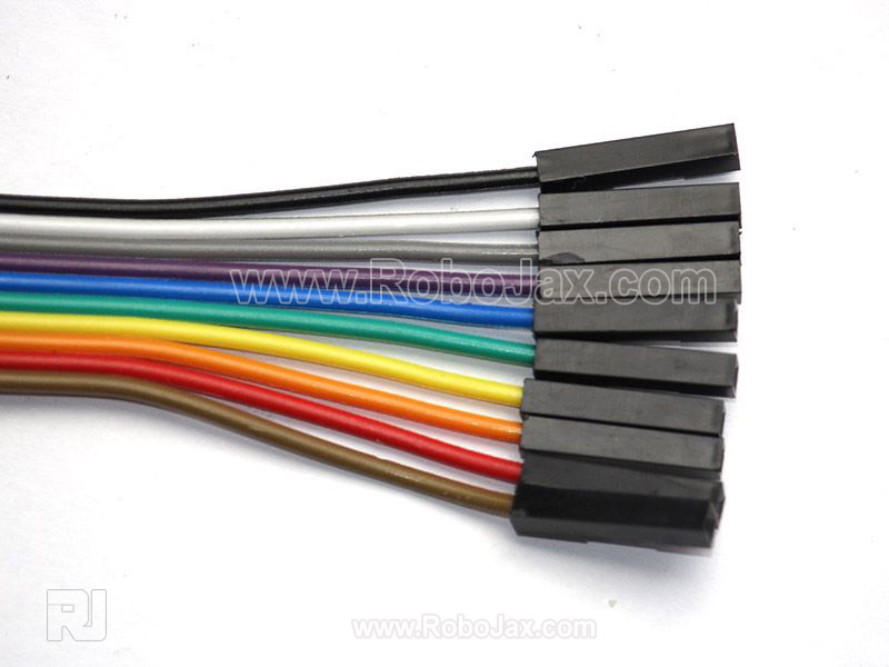 20cm female-to-female 10-pin Dupont cable