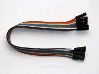 20cm Female to Female 10 Dupont cable